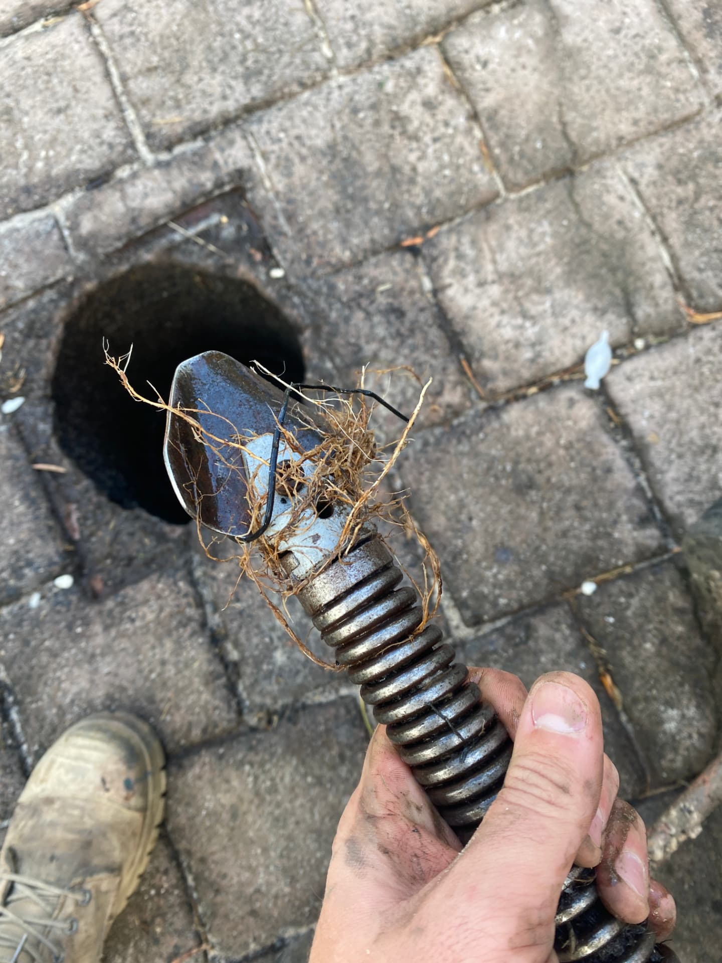 Cutter head covered in tree roots after clearing a blocked drain