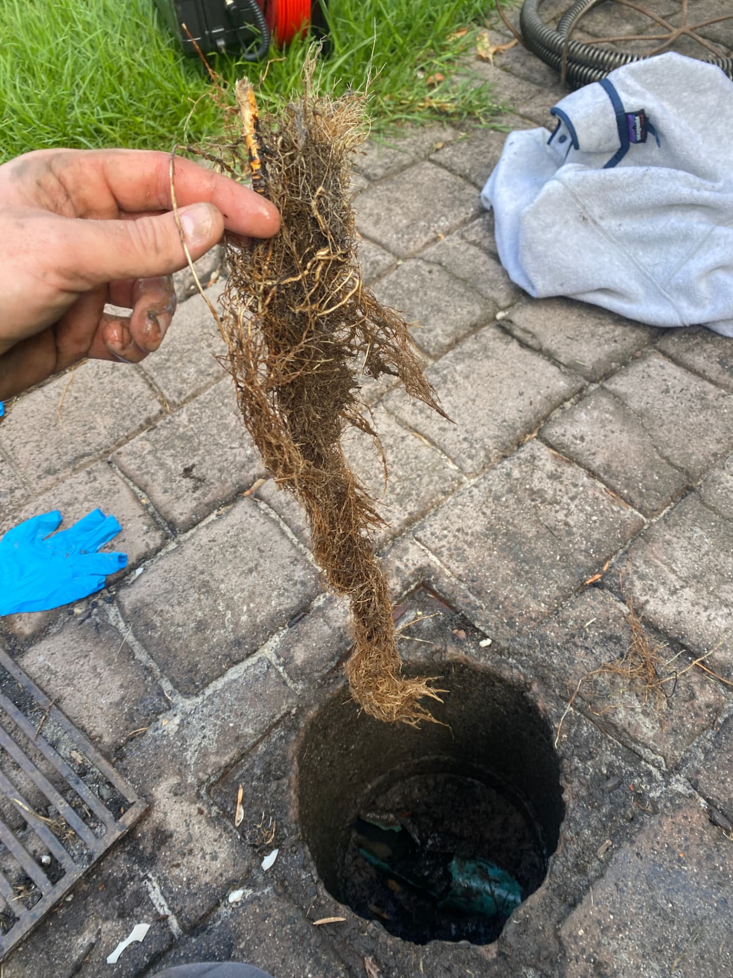 Thick tree roots removed from a stormwater pit